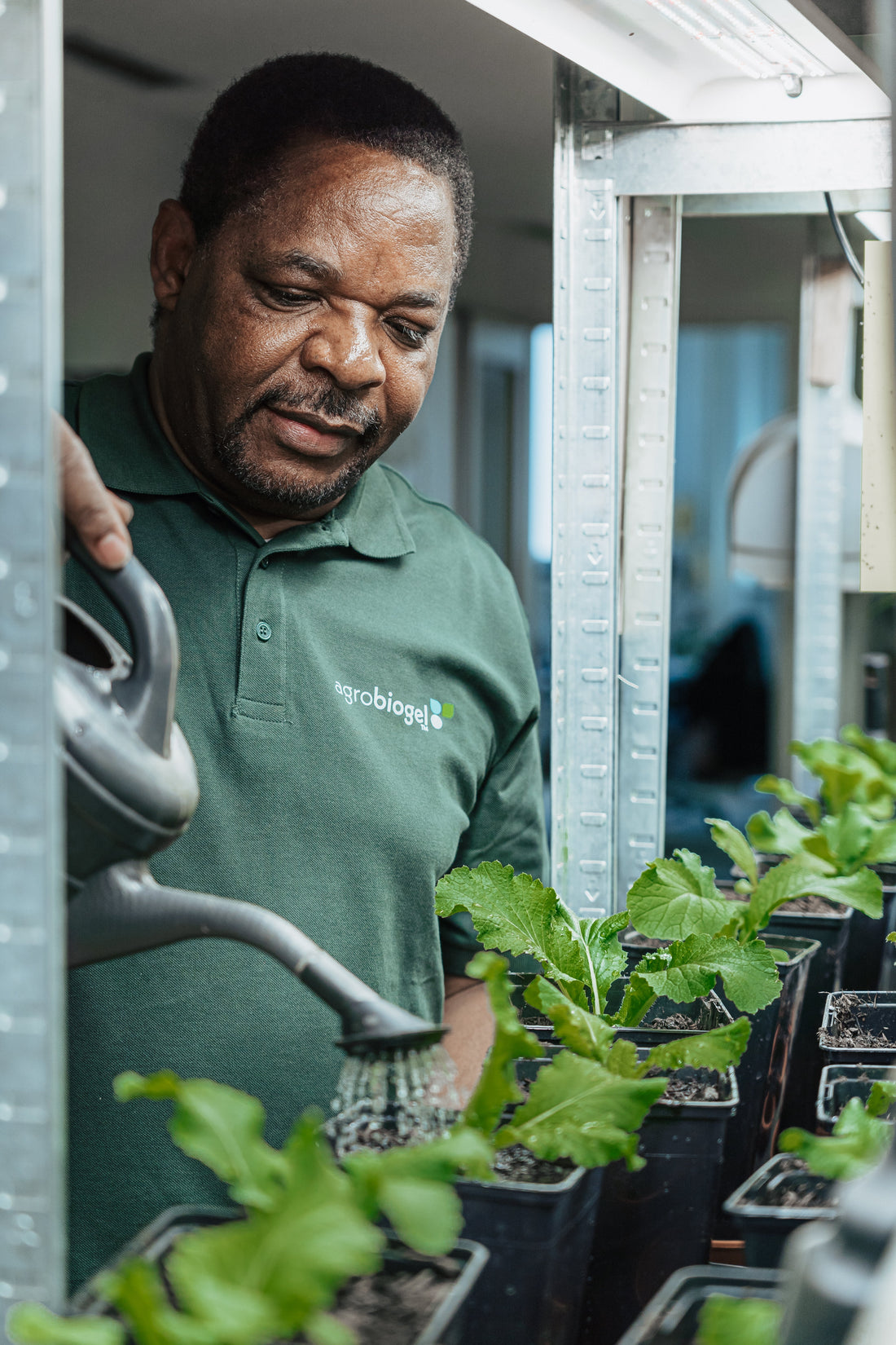 Gibson, der Erfinder von RETENTIS und AgroBiogel gießt in einem Versuch seine Pflanzen