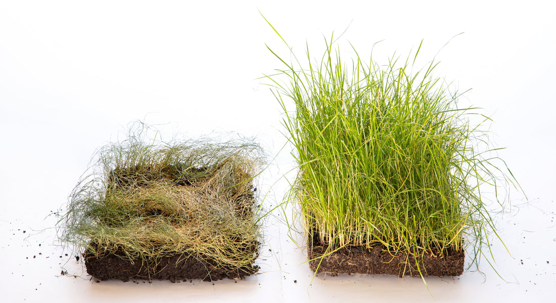 Pi-mal-Daumen war gestern – so berechnest du die Aufwandmenge für Retentis und Substrat richtig!