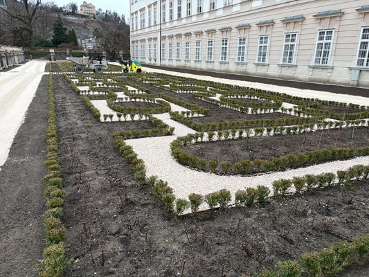 Rosengarten Mirabellgarten Salzburg